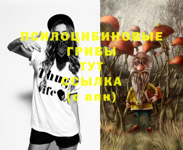 спайс Арсеньев